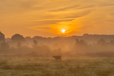 Voorbeeld