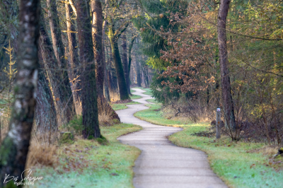 Voorbeeld