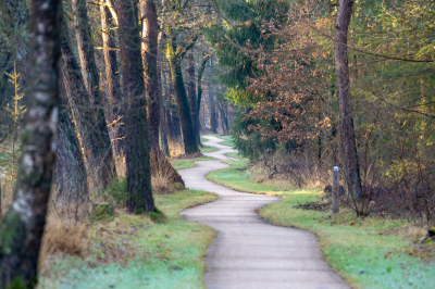 Voorbeeld