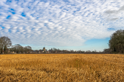 Voorbeeld